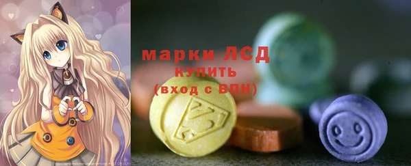 сатива Магас
