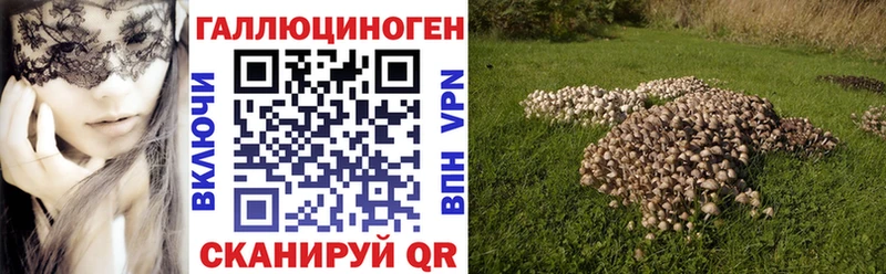 закладки  Находка  Псилоцибиновые грибы прущие грибы 