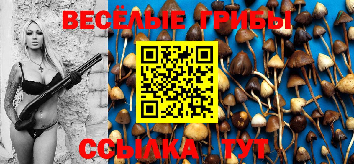 Псилоцибиновые грибы Magic Shrooms Находка